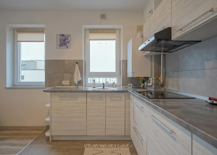 Kasper Coresi Apartment Brasov